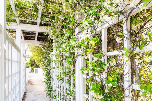 Landscape Trellis Installation